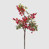 Haste Bagas e Folhas 42cm